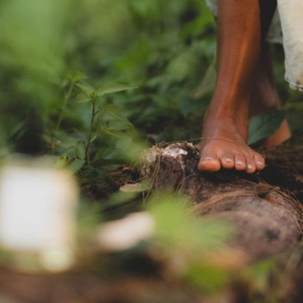 legs of girl 01 legs of girl 01